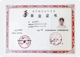 自考生网